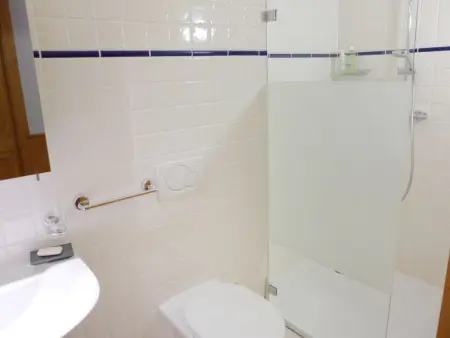 Soldanella 2, Appartement 6 personnes à Crans Montana - Photo 27