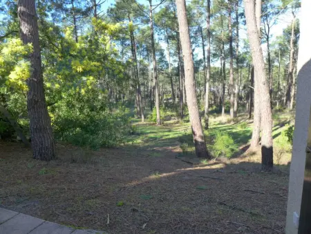 Les Palombes, Maison 4 personnes à Lacanau - Photo 22