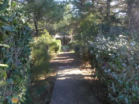 Juncades, Maison 4 personnes à Seignosse - Photo 15