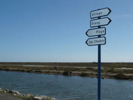 Les Amandines, Maison 4 personnes à Gruissan - Photo 23