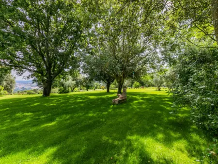 Mandorlo, Gite 6 personnes à Cinigiano - Photo 36
