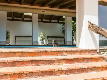 Mandorlo, Gite 6 personnes à Cinigiano - Photo 43