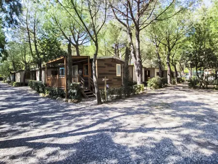 Gineprino, Maison 4 personnes à Marina di Bibbona - Photo 17