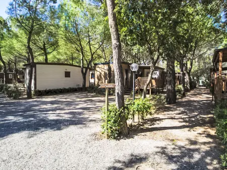 Gineprino, Maison 4 personnes à Marina di Bibbona - Photo 18