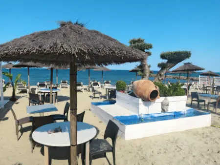 Les Marines du Roussillon, Maison 4 personnes à Saint Cyprien - Photo 34