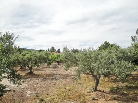 El Rinconcito, Maison 8 personnes à L'Ampolla - Photo 14
