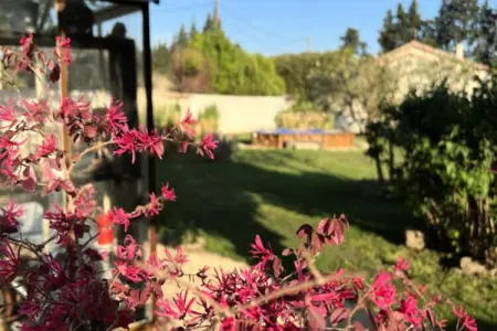 &eacute;vasion Champ&ecirc;tre: Charme Et S&eacute;r&eacute;nit&eacute; &agrave; L'isle-sur-la-sorgue, Appartements pour 2 Personnes - Photo 19