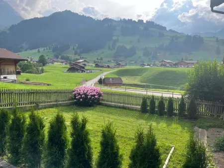 Flott, Appartement 2 personnes à Adelboden - Photo 5