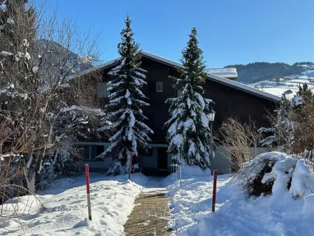 Hübeli (Streit), Appartement 6 personnes à Zweisimmen - Photo 1