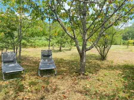Maison bois avec piscine privée et WiFi au cœur du Périgord - Photo 13