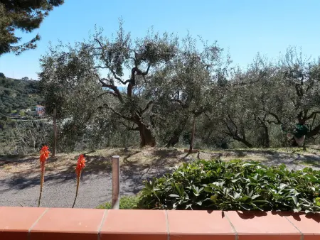 Zenzero e Cannella, Appartement 5 personnes à Diano Marina - Photo 33