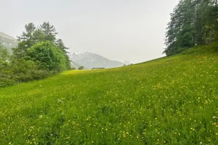 Le Schuss IV N°377 - 2P4, Appartement dans les Alpes près du ski - Photo 17