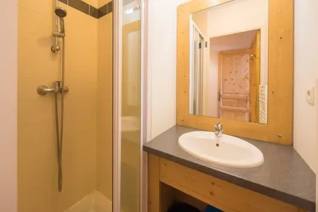T. Bergerie A N°12 - 3P8, Appartement en France avec Ski et Piscine - Photo 14