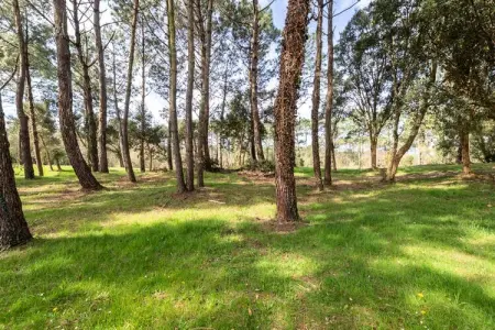 Le Domaine du Golf de Pinsolle - maeva Home, Appartement 2 pièces 6 personnes - Confort - Photo 25