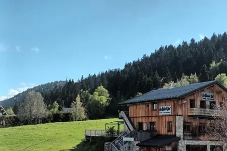 Spacieux Appartement Au Pied Des Pistes, Appartement à Féchaz près des sentiers - Photo 51
