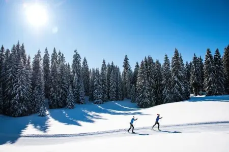 Superbe Appartement Au Pied Des Pistes - Le Chamois***, Appartements pour 4 Personnes - Photo 18