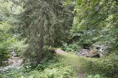 Arcades N°39 - ST4, Studio à Doucy avec Vue sur Montagnes - Photo 17