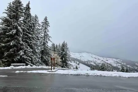 T du Morel A N°17 - 3P5, Appartement à Doucy avec Vue sur Montagne - Photo 36