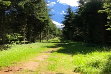 T. DU MOREL A N°25 - 2P5, Appartement à Doucy avec Vue sur Montagnes - Photo 13