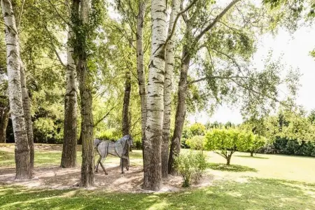 Maison De Famille En Provence, Maison Familiale En Provence - Photo 11