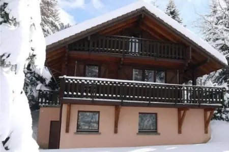 LE RENNE  Chalet en bois au calme avec SPA Jacuzzi, Chalet à La Bresse avec Vue sur Montagnes - Photo 6