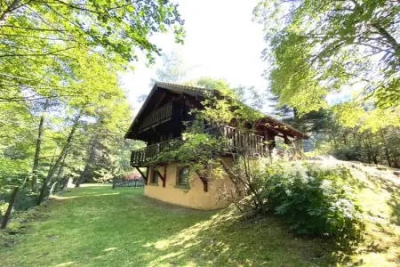 LE RENNE  Chalet en bois au calme avec SPA Jacuzzi, Chalet à La Bresse avec Vue sur Montagnes - Photo 25
