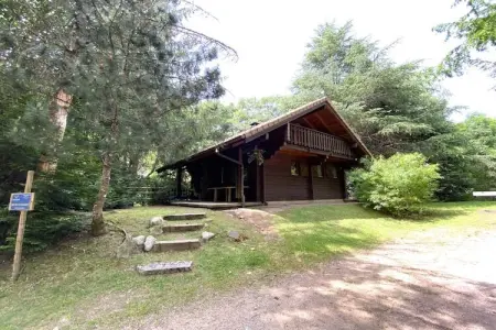 LE MONTAGNARD Chalet en bois, Chalet à La Bresse avec vue sur montagne - Photo 20