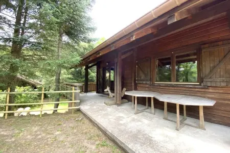 LE SKIEUR  Chalet en bois, Chalet à La Bresse avec Vue Montagne - Photo 27