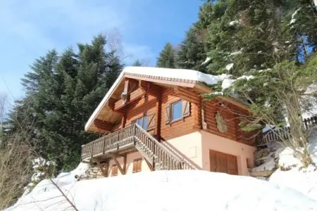 LE GRAND CERF  Chalet en rondins avec SPA Jacuzzi, Chalet à La Bresse avec Spa & Vue Montagne - Photo 4