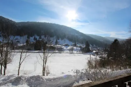 LE GRAND CERF  Chalet en rondins avec SPA Jacuzzi, Chalet à La Bresse avec Spa & Vue Montagne - Photo 7