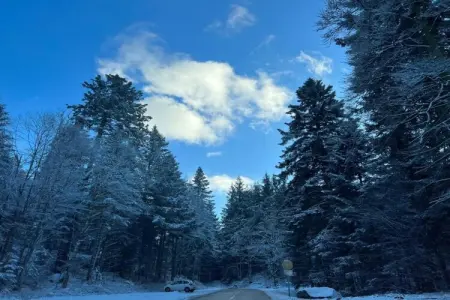 LA POMME DE PIN 2  Appartement avec terrasse, Appartement à La Bresse près de rivière & ski - Photo 25