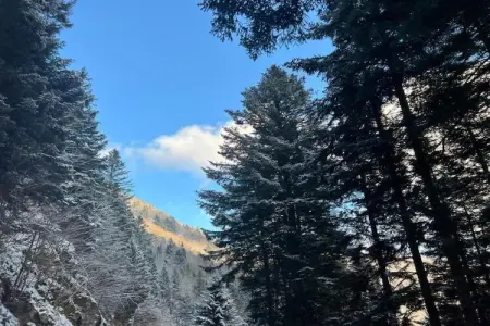 LA POMME DE PIN 2  Appartement avec terrasse, Appartement à La Bresse près de rivière & ski - Photo 26