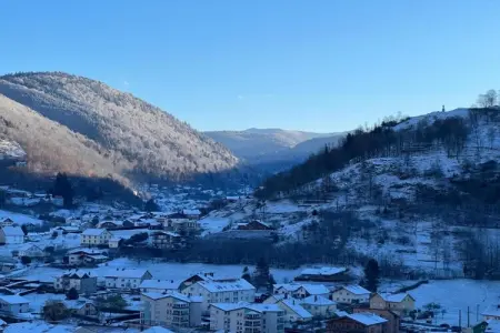 LA POMME DE PIN 2  Appartement avec terrasse, Appartement à La Bresse près de rivière & ski - Photo 27