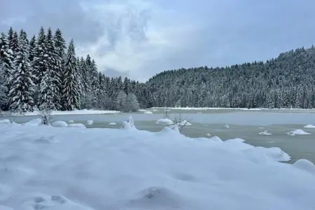 LA POMME DE PIN 2  Appartement avec terrasse, Appartement à La Bresse près de rivière & ski - Photo 28