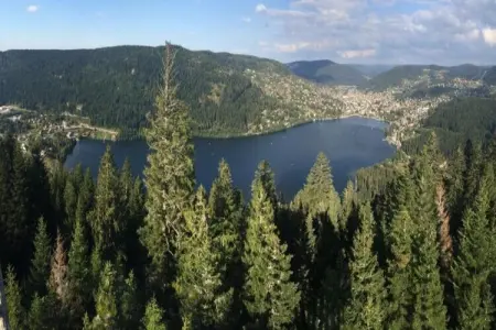 LA POMME DE PIN 2  Appartement avec terrasse, Appartement à La Bresse près de rivière & ski - Photo 33