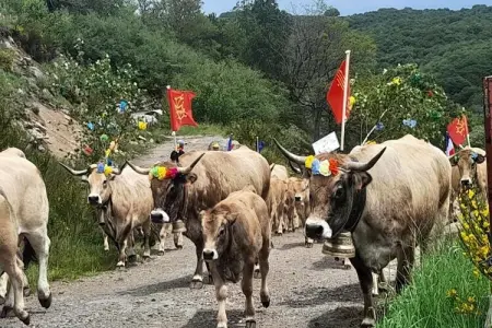 Gîte de France Bon aubrac pour 12 personnes 2 épis, Gîte de France Bon Aubrac pour 12 personnes - Photo 54