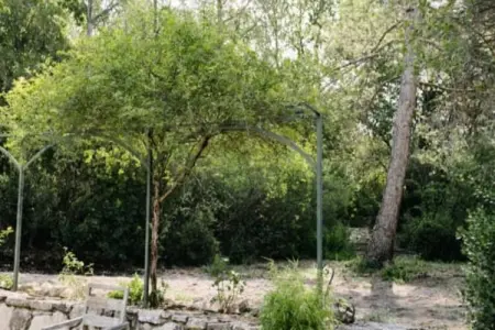 La Voli&egrave;re - Pernes-les-fontaines, La Avière Pernes les fontaines - Photo 16