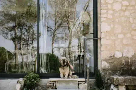 La Voli&egrave;re - Pernes-les-fontaines, La Avière Pernes les fontaines - Photo 18