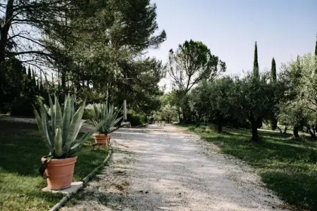 La Voli&egrave;re - Pernes-les-fontaines, La Avière Pernes les fontaines - Photo 24