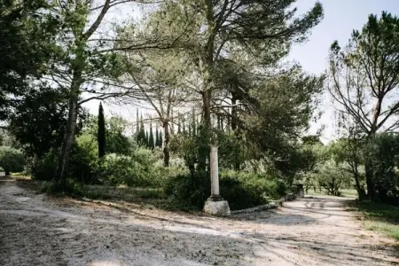 La Voli&egrave;re - Pernes-les-fontaines, La Avière Pernes les fontaines - Photo 27