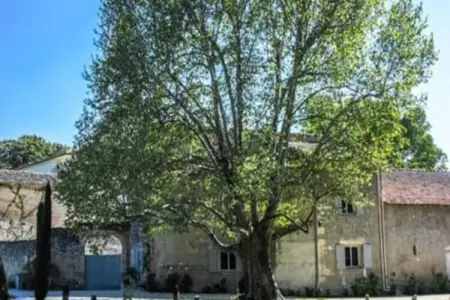 Superbe Mas Provencal Avec Piscine Chauff&eacute;e, Maisons & Villas pour 14 Personnes - Photo 23
