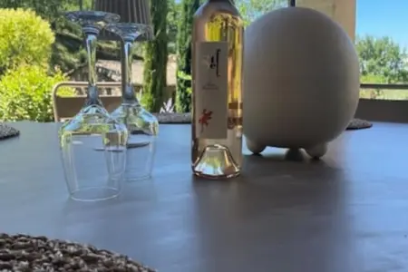 Propri&eacute;t&eacute; D'exception Au Coeur Du Luberon, Maisons & Villas pour 12 Personnes - Photo 26