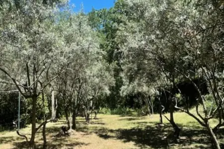 Propri&eacute;t&eacute; D'exception Au Coeur Du Luberon, Maisons & Villas pour 12 Personnes - Photo 34