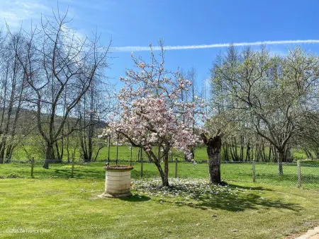 Maison spacieuse avec jardin et animaux acceptés, idéale pour famille ou amis - Photo 5