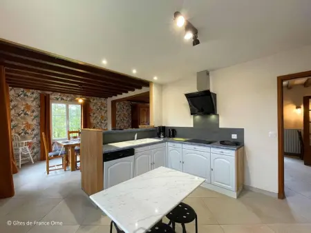 Maison spacieuse avec jardin et animaux acceptés, idéale pour famille ou amis - Photo 12