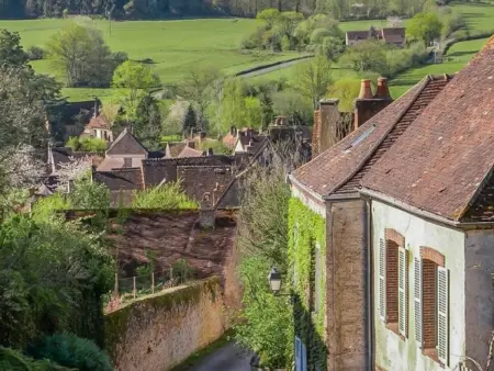 Maison spacieuse avec jardin et animaux acceptés, idéale pour famille ou amis - Photo 29