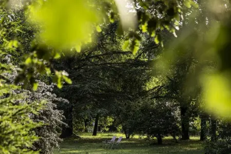 Résidence Lou Paradou ***, Studio Confort 2 Personnes vue jardin - Photo 21