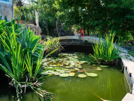 Campestra, Maison 6 personnes à Chiavari - Photo 20