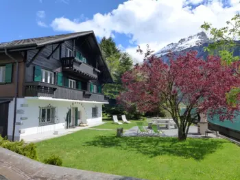 Haus in Brienz,Chalet Aaregg CH3855.50.1 N°521935