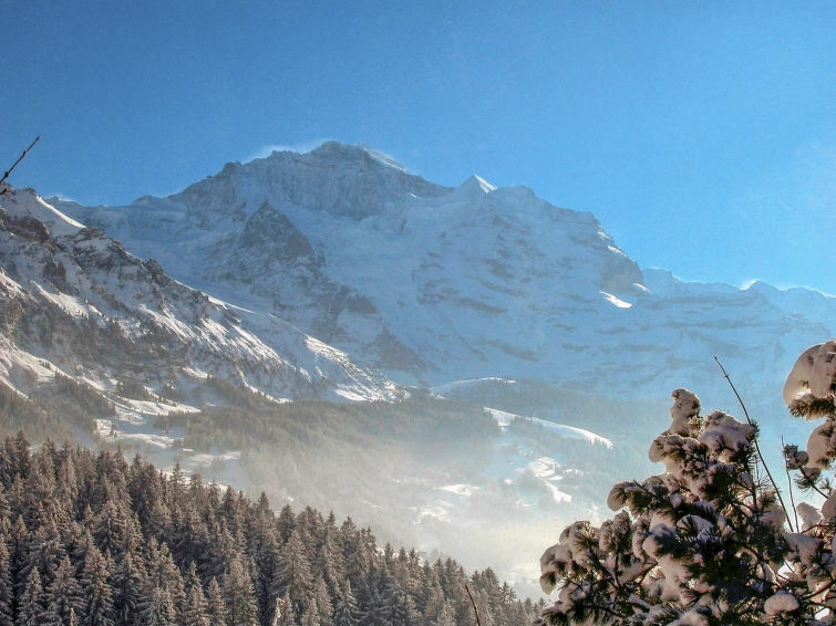 Jungfrau an der Ledi, Location Chalet à Wengen - Photo 25 / 31